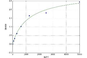 Matrix Gla Protein (MGP) ELISA Kit