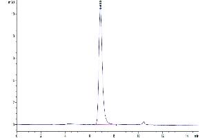 Size-exclusion chromatography-High Pressure Liquid Chromatography (SEC-HPLC) image for Tumor Necrosis Factor (Ligand) Superfamily, Member 9 (TNFSF9) (AA 71-254), (Trimer) protein (His tag) (ABIN7273928)
