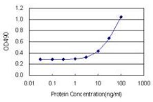 Sandwich ELISA detection sensitivity ranging from 3 ng/mL to 100 ng/mL.