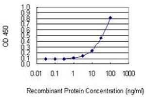Detection limit for recombinant GST tagged NCSTN is 1 ng/ml as a capture antibody. (Nicastrin Antikörper  (AA 16-115))