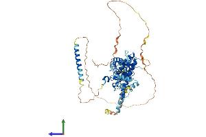 Protein Structure (PS) image for Chromatin Licensing and DNA Replication Factor 1 (CDT1) (AA 1-557) protein (His tag) (ABIN7559760)