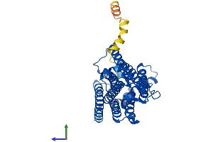 Protein Structure (PS) image for Progestin and AdipoQ Receptor Family Member VIII (PAQR8) (AA 1-354) protein (His tag) (ABIN7549511)