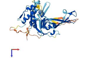 USP50 Protein (AA 1-339) (His tag)