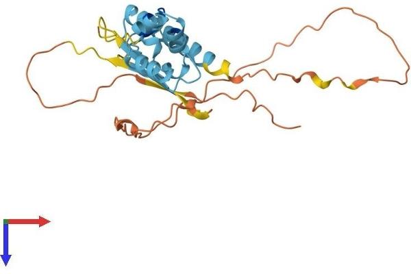 FBXL22 Protein (AA 1-247) (His tag)
