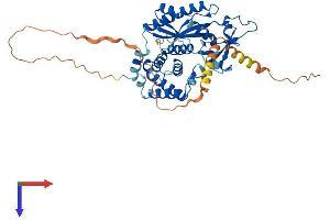 SMCR7 Protein (AA 1-454) (His tag)