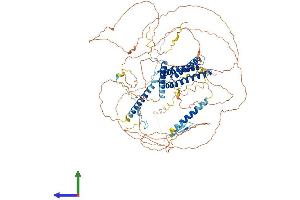 Protein Structure (PS) image for Discs, Large (Drosophila) Homolog-Associated Protein 5 (DLGAP5) (AA 1-846) protein (His tag) (ABIN7553723)