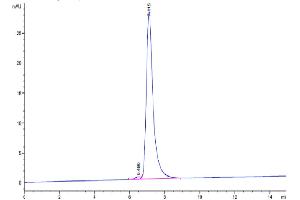 Size-exclusion chromatography-High Pressure Liquid Chromatography (SEC-HPLC) image for VEGF Receptor 2 (VEGFR2) (AA 20-762) protein (His tag) (ABIN7275841)