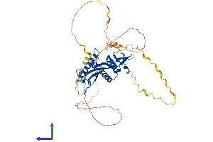 Protein Structure (PS) image for Chromosome 6 Open Reading Frame 134 (C6orf134) (AA 1-421) protein (His tag) (ABIN7559531)