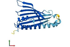 Protein Structure (PS) image for PRELI Domain Containing 2 (PRELID2) (AA 1-177) protein (His tag) (ABIN7556946)