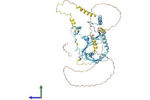 Protein Structure (PS) image for Paf1, RNA Polymerase II Associated Factor, Homolog (PAF1) (AA 1-531) protein (His tag) (ABIN7554882)