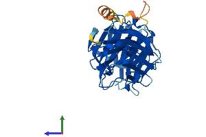 AlphaFold protein structure predicition of Mouse Recombinant Lgals8 Protein, UniprotID Q9JL15