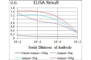 Red: Control Antigen (100ng) ; Purple: Antigen (10ng) ; Green: Antigen (50ng) ; Blue: Antigen (100ng).
