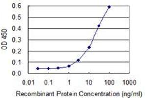 Detection limit for recombinant GST tagged SERGEF is 1 ng/ml as a capture antibody. (SERGEF Antikörper  (AA 240-337))