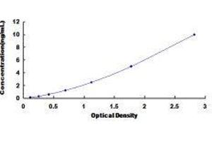 Kruppel-Like Factor 5 (Intestinal) (KLF5) ELISA Kit