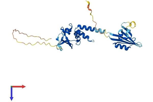 KCTD15 Protein (AA 1-283) (His tag)