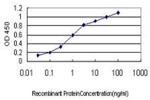 Detection limit for recombinant GST tagged NGB is approximately 0. (Neuroglobin Antikörper  (AA 1-151))