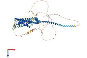 KCNN3 Protein (AA 1-732) (His tag)