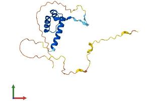 Protein Structure (PS) image for Distal-Less Homeobox 6 (DLX6) (AA 1-175) protein (His tag) (ABIN7547118)