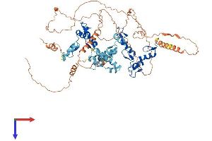 ZNF510 Protein (AA 1-683) (His tag)