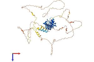 AGFG1 Protein (AA 1-562) (His tag)