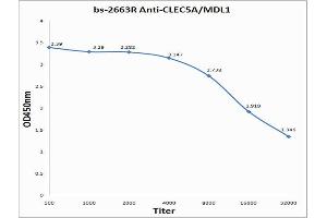Antigen: 0. (CLEC5A Antikörper  (AA 101-190))