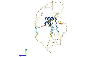 Protein Structure (PS) image for Paired-Like Homeodomain 1 (PITX1) (AA 1-315) protein (His tag) (ABIN7556691)