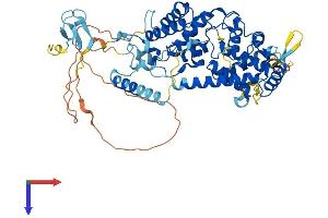 TAF1B Protein (AA 1-588) (His tag)