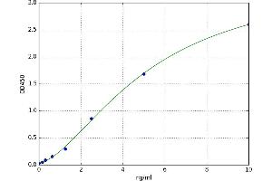 A typical standard curve