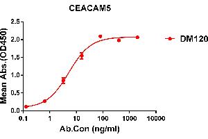 ELISA plate pre-coated by 1 μg/mL (100 μL/well) Human CEACAM5 protein, His tagged protein ((ABIN6961129, ABIN7042287 and ABIN7042288)) can bind Rabbit anti-CEACAM5 monoclonal antibody(clone: DM120) in a linear range of 0. (CEACAM5 Antikörper  (AA 35-685))