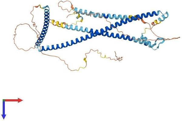CCDC125 Protein (AA 1-511) (His tag)