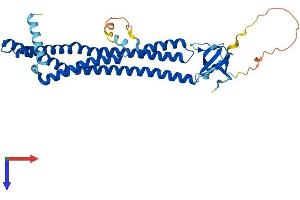 SH3G2 Protein (AA 1-352) (His tag)