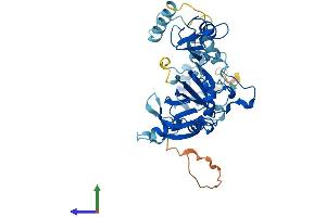 AlphaFold protein structure predicition of Human Recombinant SNAPC3 Protein, UniprotID Q92966