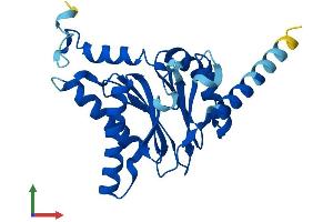 AlphaFold protein structure predicition of Mouse Recombinant Psma8 Protein, UniprotID Q9CWH6