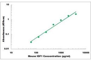 Representative Standard Curve