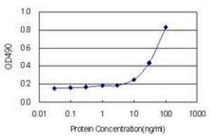 Sandwich ELISA detection sensitivity ranging from 3 ng/mL to 100 ng/mL.