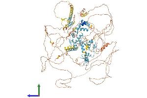 Protein Structure (PS) image for Zinc Finger E-Box Binding Homeobox 2 (ZEB2) (AA 1-1214) protein (His tag) (ABIN7556129)