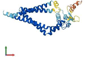 Protein Structure (PS) image for Tetraspanin 26 (TSPAN26) (AA 1-281) protein (His tag) (ABIN7557708)
