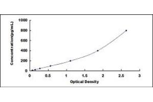 Typical standard curve (CD90 ELISA Kit)