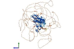 Protein Structure (PS) image for Homeodomain Interacting Protein Kinase 3 (HIPK3) (AA 1-1192) protein (His tag) (ABIN7565051)