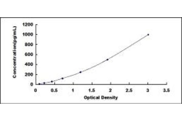 DEFB131 ELISA Kit