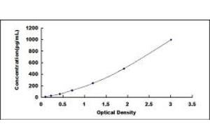 Typical standard curve (DEFB131 ELISA Kit)