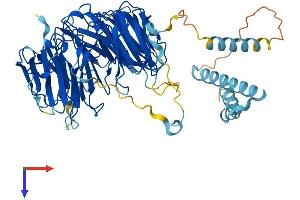 EIF2A Protein (AA 1-581) (His tag)