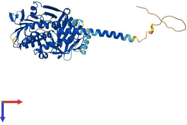 KMO Protein (AA 1-479) (His tag)