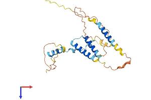SERTAD1 Protein (AA 1-236) (His tag)