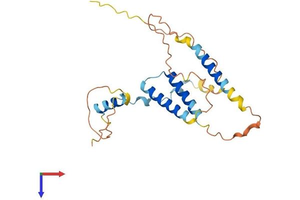 SERTAD1 Protein (AA 1-236) (His tag)