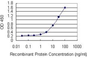 Detection limit for recombinant GST tagged RBP5 is 0. (Retinol Binding Protein 5 Antikörper  (AA 1-135))