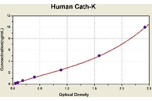 Diagramm of the ELISA kit to detect Human Cath-Kwith the optical density on the x-axis and the concentration on the y-axis. (Cathepsin K ELISA Kit)