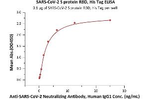 Immobilized SARS-CoV-2 S protein RBD, His Tag (ABIN6973236) at 1 μg/mL (100 μL/well) can bind A-CoV-2 Neutralizing Antibody, Human IgG1 (SAD-S35) with a linear range of 0.
