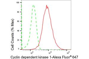 Flow cytometric analysis of Cyclin dependent kinase 1 expression in HepG2 cells using Cyclin dependent kinase 1 antibody (ABIN7798207), 1:2,000). (Rekombinanter CDK1 Antikörper)