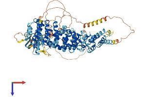Protein Structure (PS) image for Ventricular Zone Expressed PH Domain-Containing 1 (VEPH1) (AA 1-833) protein (His tag) (ABIN7561851)